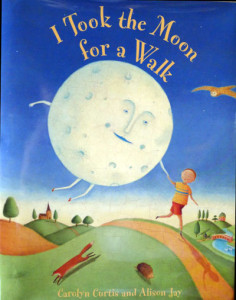 I-took-the-moon-for-a-walk