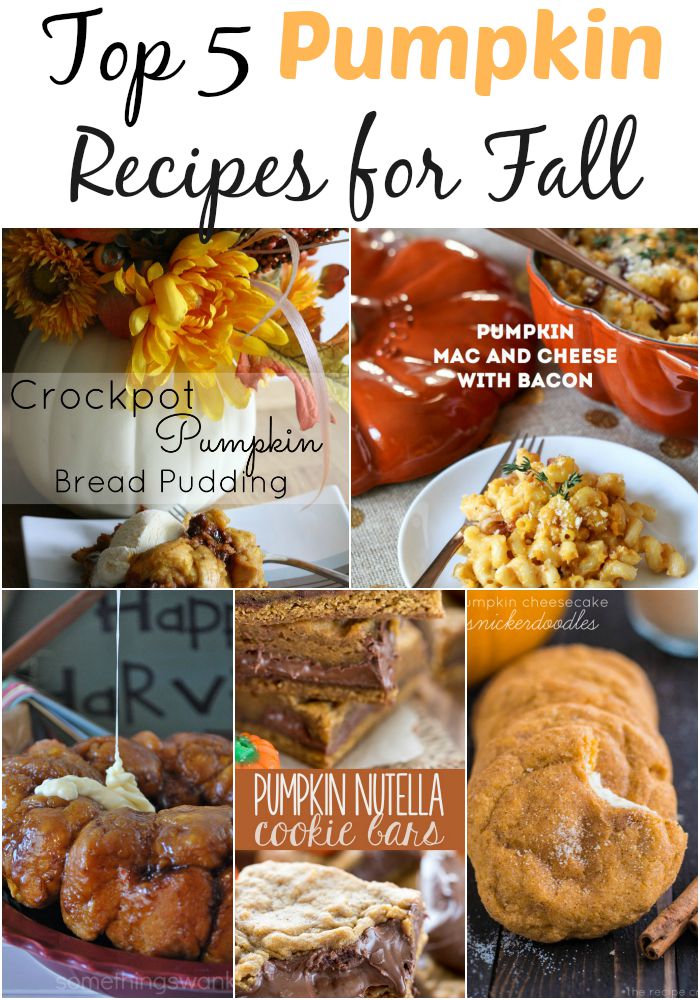 Top 5 Pumpkin Recipes for Fall
