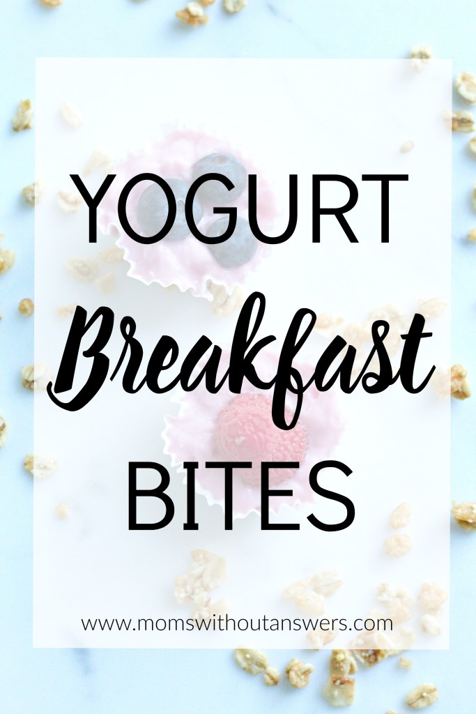 yogurtbreakfastbites