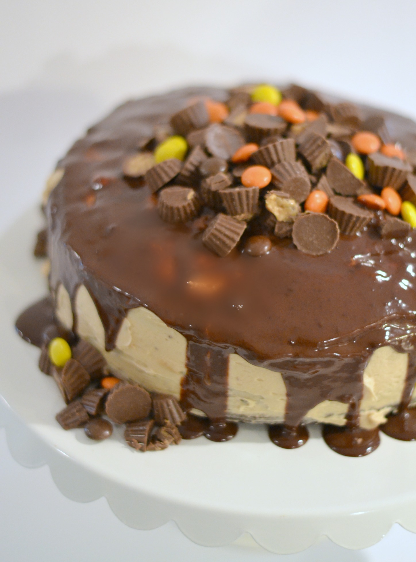 Inside Out Reese's Dirt Cake 3