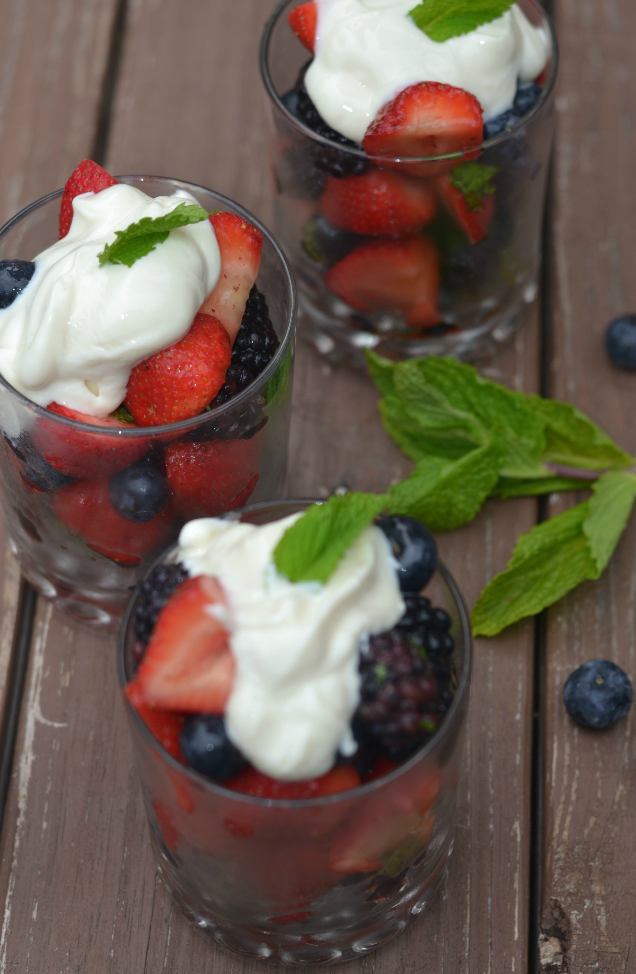 This Honey Lime and Mint Summer Salad is delicious and so easy to make. Perfect salad for a summer barbeque or party!