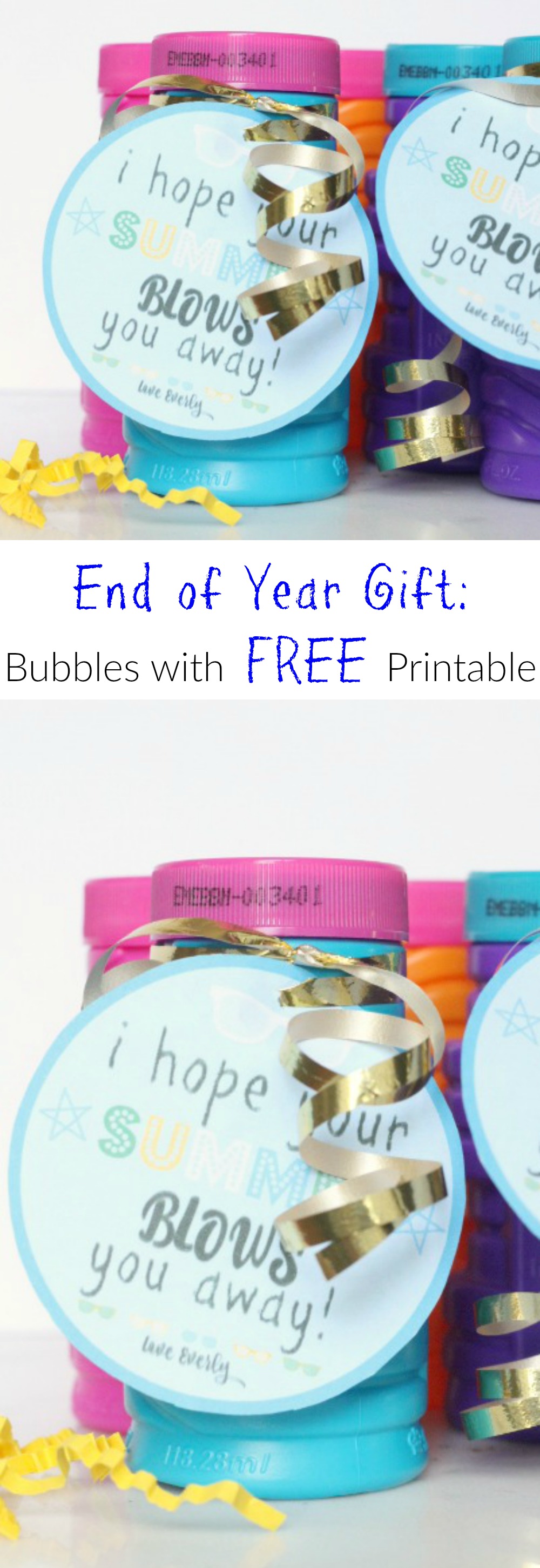 End of Year Gift for Students. This is such a cute and cheap idea. I love that these printables are all different!