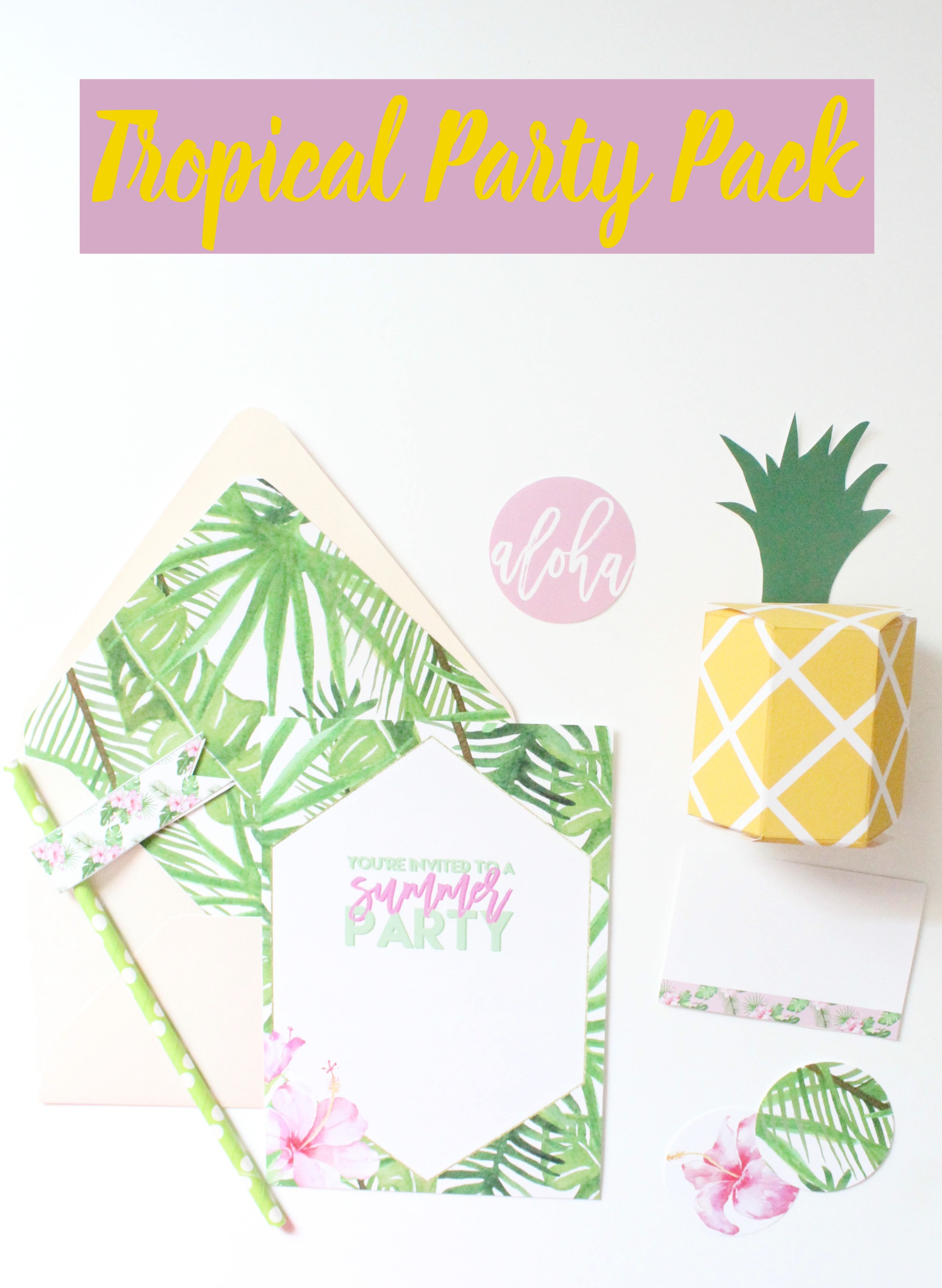 Tropical Party Pack- this DIY party pack is perfect for any occasion.