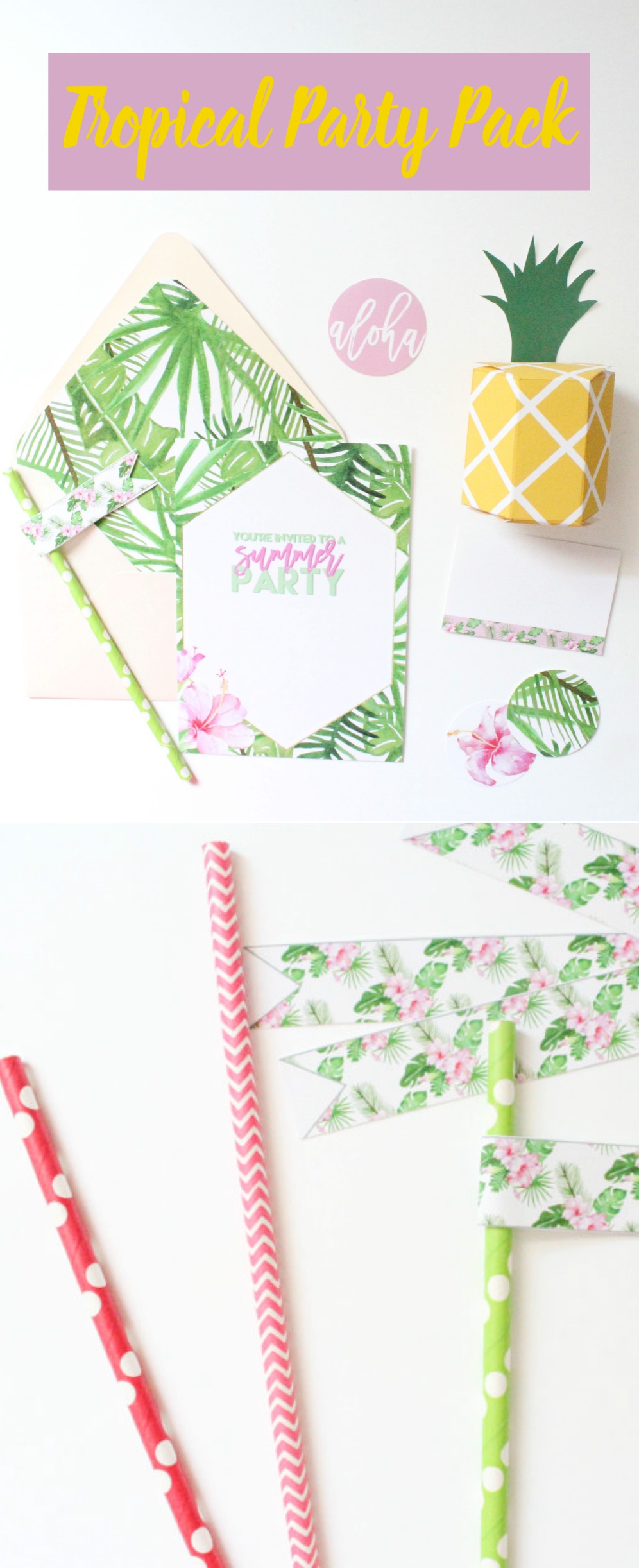 Tropical Party Pack- this DIY party pack is perfect for any occasion.