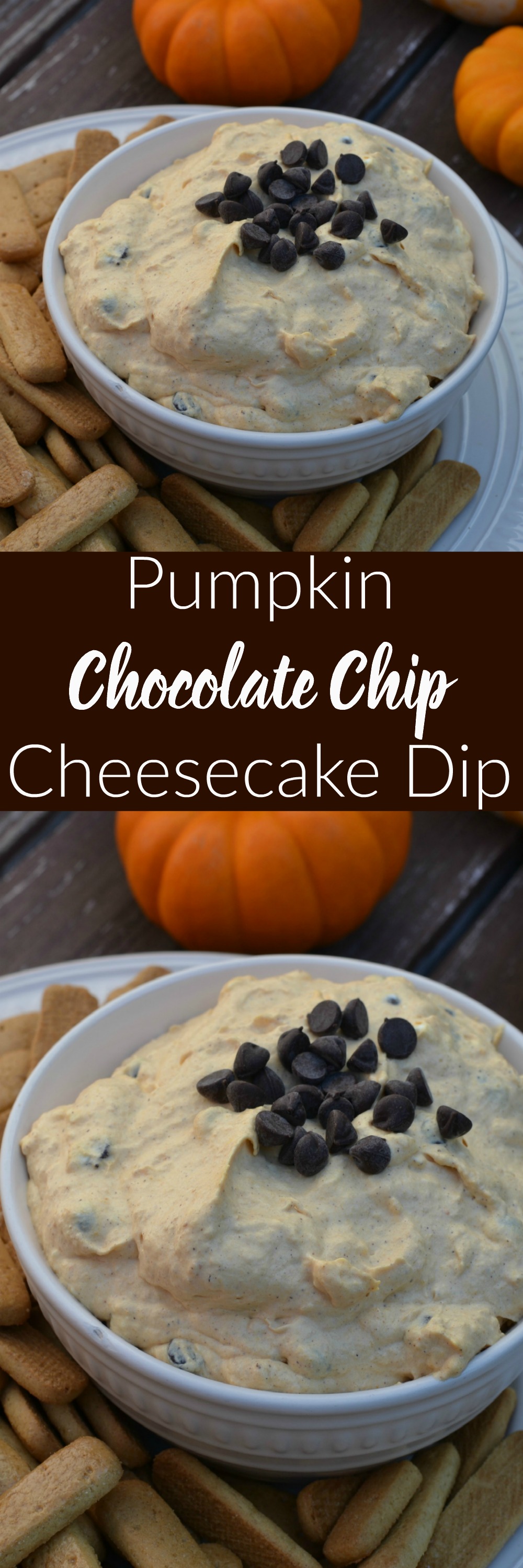 Pumpkin Chocolate Chip Cheesecake Dip