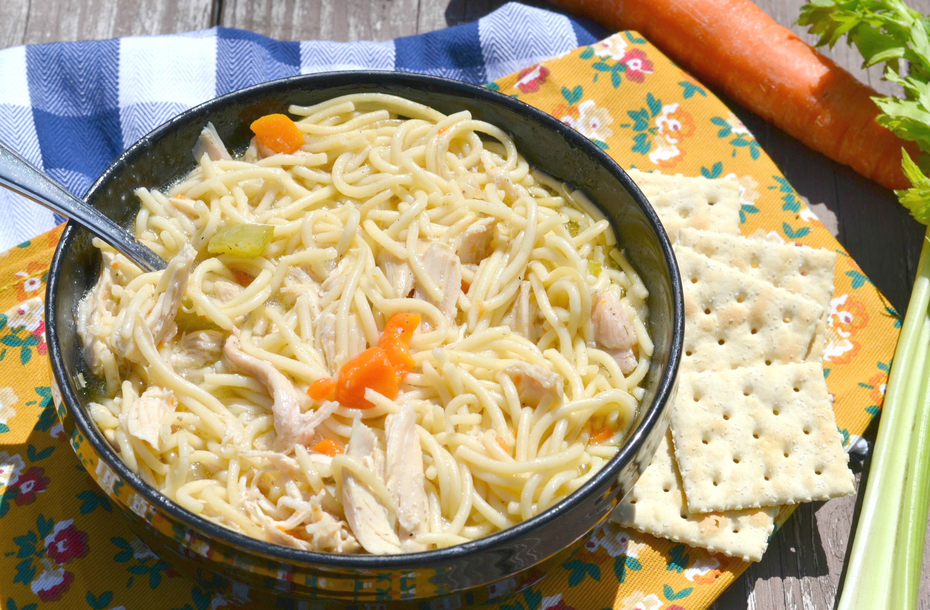 the-worlds-best-chicken-noodle-soup-3