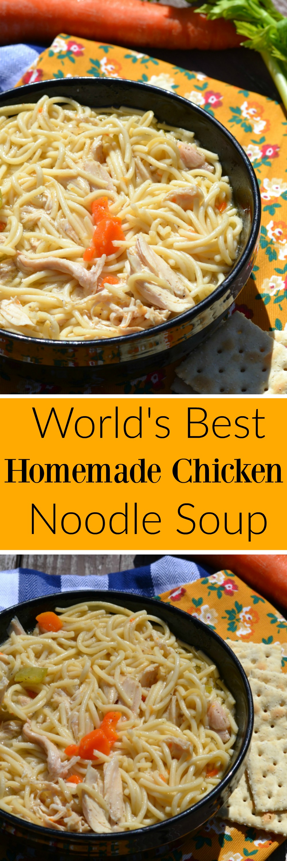 The World's Best Chicken Noodle Soup