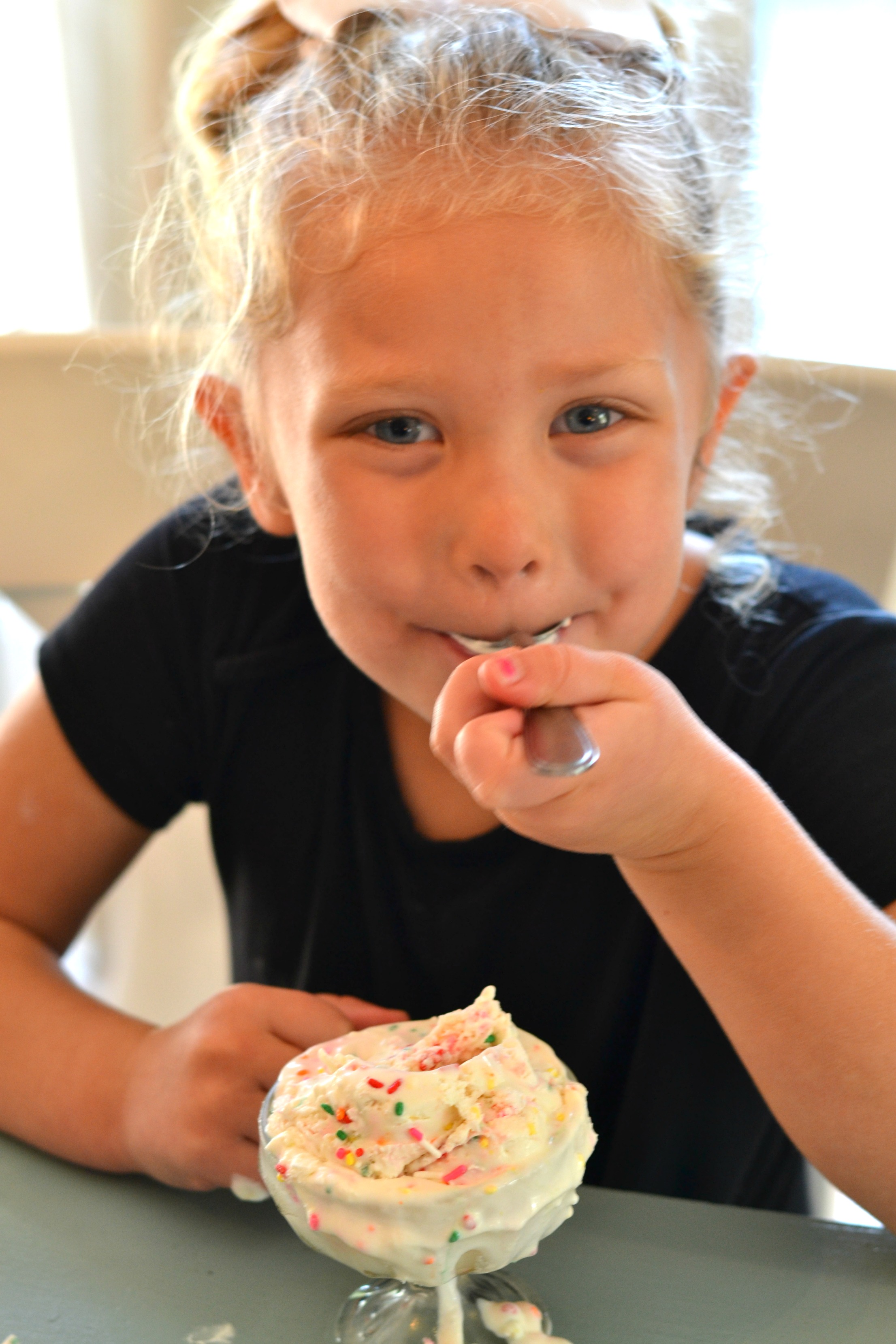 Homemade Vanilla Ice Cream with Sprinkles