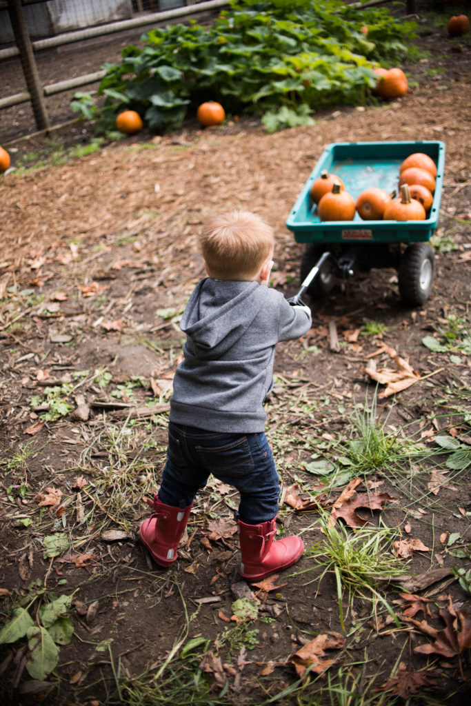 fall bucket list pumpkin patch photos