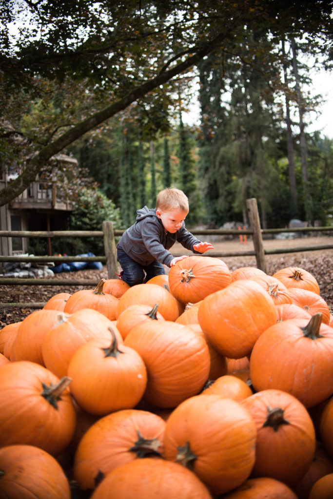 pumpkin patch fall bucket list