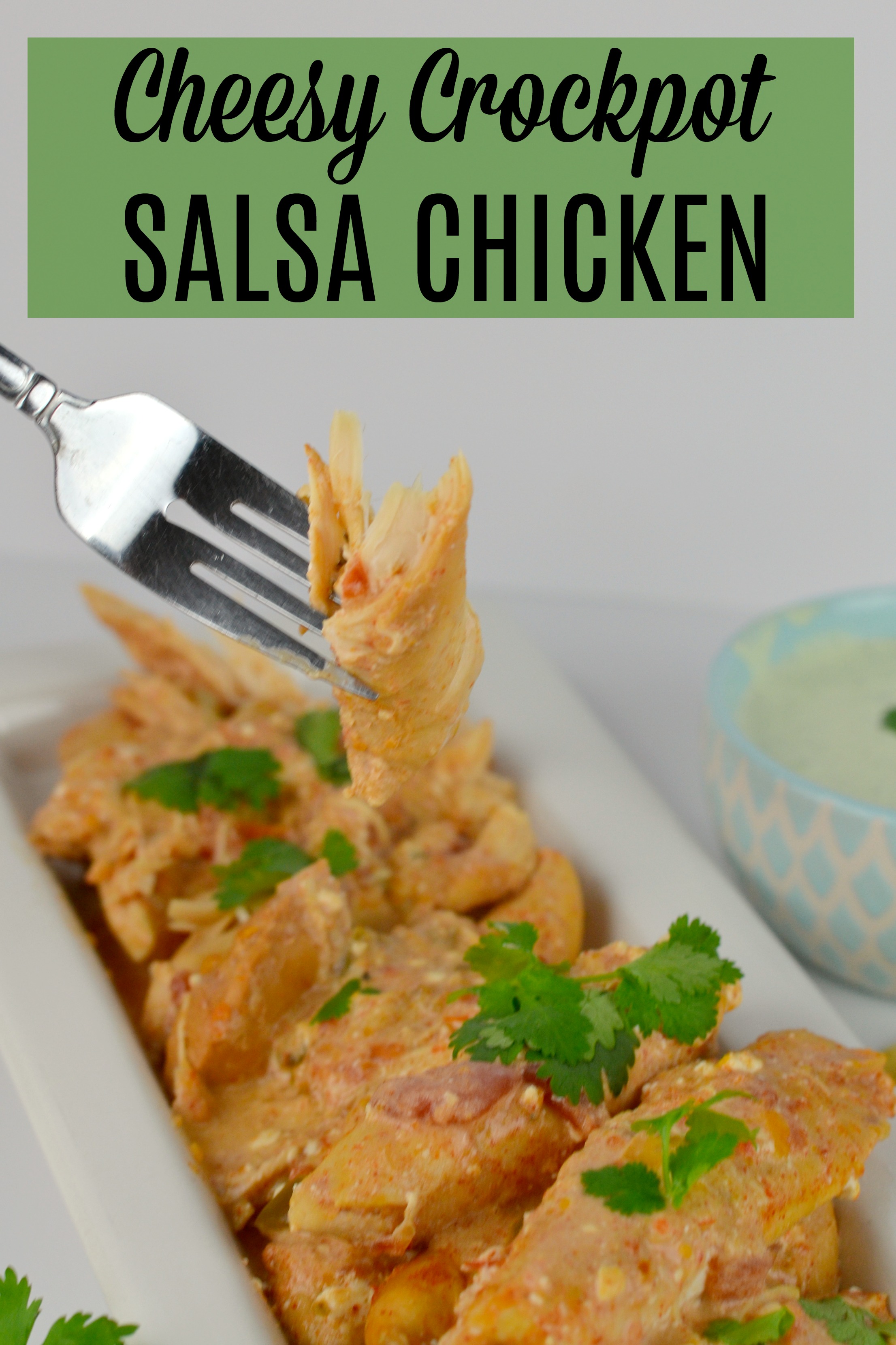 Cheesy Crockpot Salsa Chicken with Rice