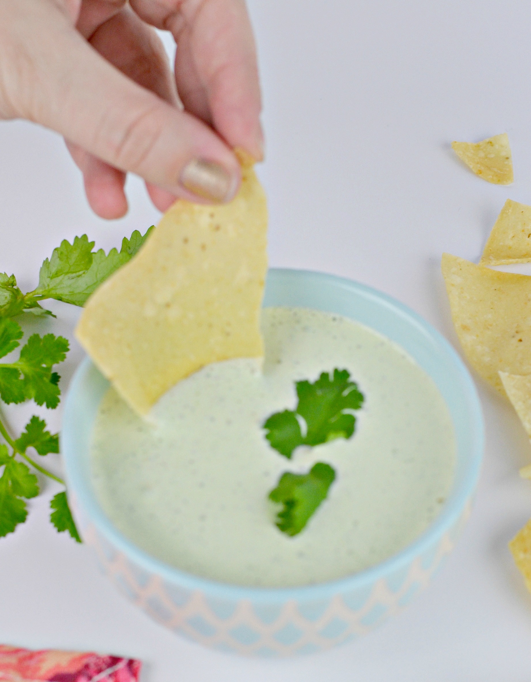 Creamy Jalapeno Cilantro Ranch Houston Mommy and Lifestyle Blogger Moms Without Answers